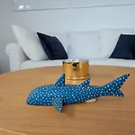 Salt *